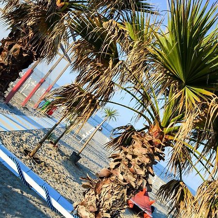 Hotel Villa Cesira Bellaria-Igea Marina Exteriör bild